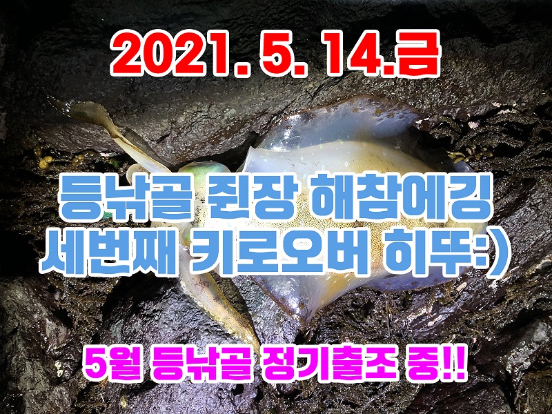 b48f62ab28123b3be9f2d54f73cec604_1621017006_3299.jpg