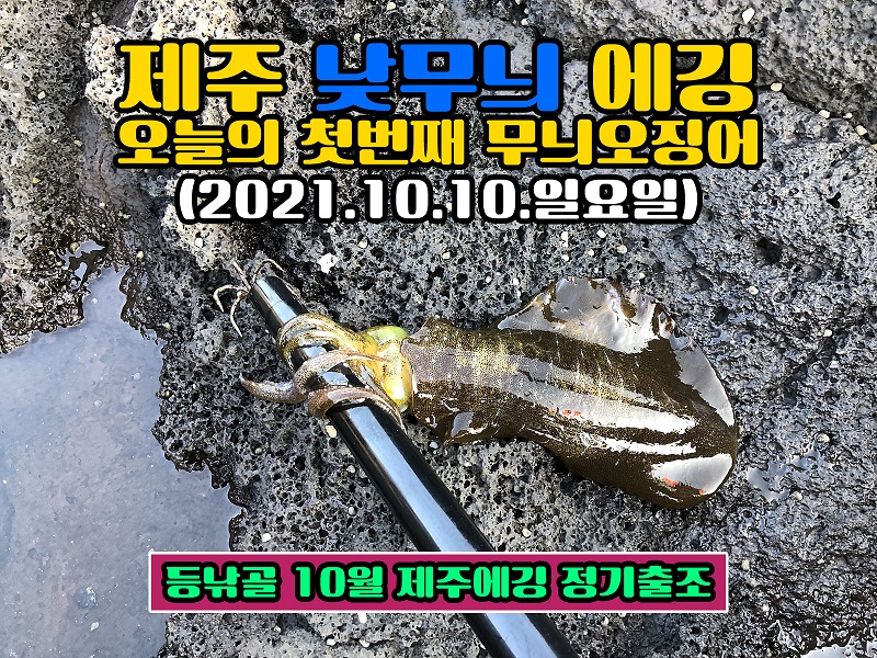 dae36c8b281f22d8809bbfb7c80fff6c_1633928025_3285.jpg dae36c8b281f22d8809bbfb7c80fff6c_1633928025_3285.jpg