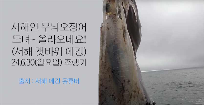 bacde18665fde31a4262d9472692d267_1719841232_8995.png