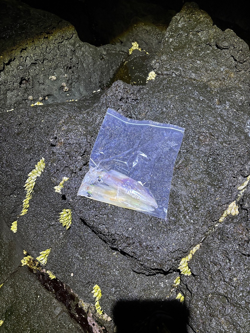 dea3ccf37f769eab2e0c7adb6aec2e40_1749287589_3108.jpg