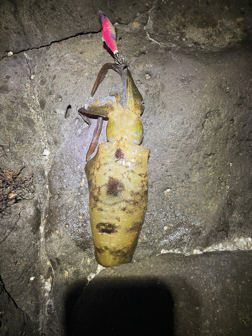 3b8895b883969745023503393ccf1ea1_1787639522_8109.jpg 3b8895b883969745023503393ccf1ea1_1787639522_8109.jpg